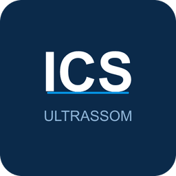 ICS Academy
